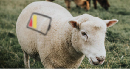 Ceto Phyton - Recharge Sheep